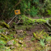 Thumbnail of related posts 198