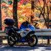 Thumbnail of related posts 100